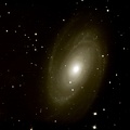galaxie m81