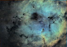 Trompe de l'elephant